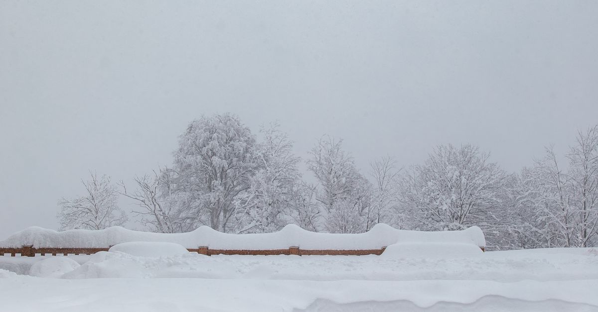 A person swimming in an outdoor pool surrounded by snow in winter