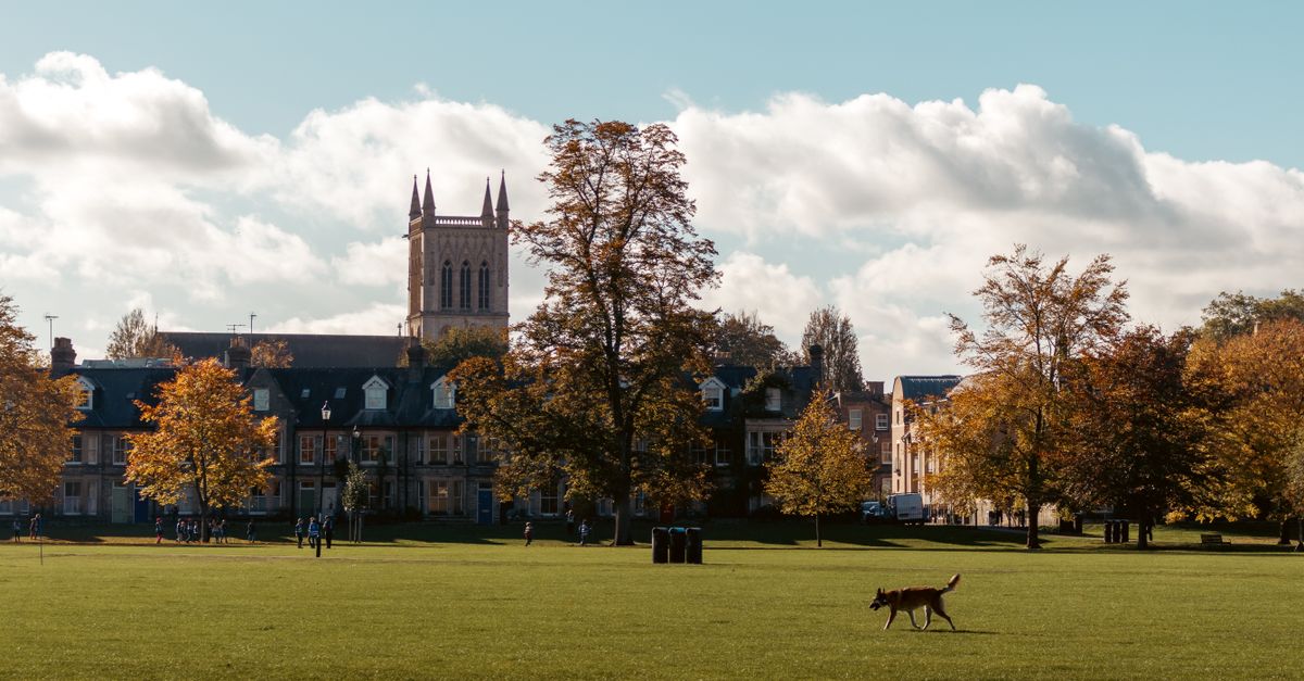 A university campus in autumn with trees and historic architecture